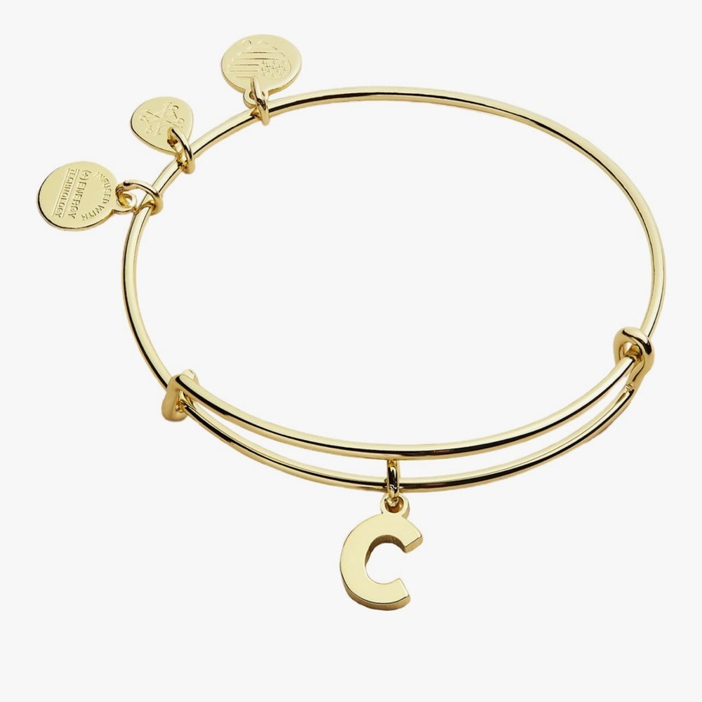 Alex and Ani Gold Charm Bracelet